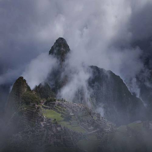 نصف دنیا مجرمن و نصف دیگه شریک جرم نظام سرمایه داری هم رحم